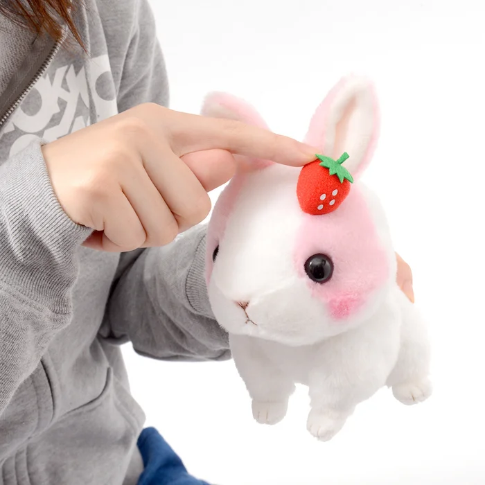 Kyun To Naki Usagi Noichigo Pika Plush Collection (Standard) - Image 11